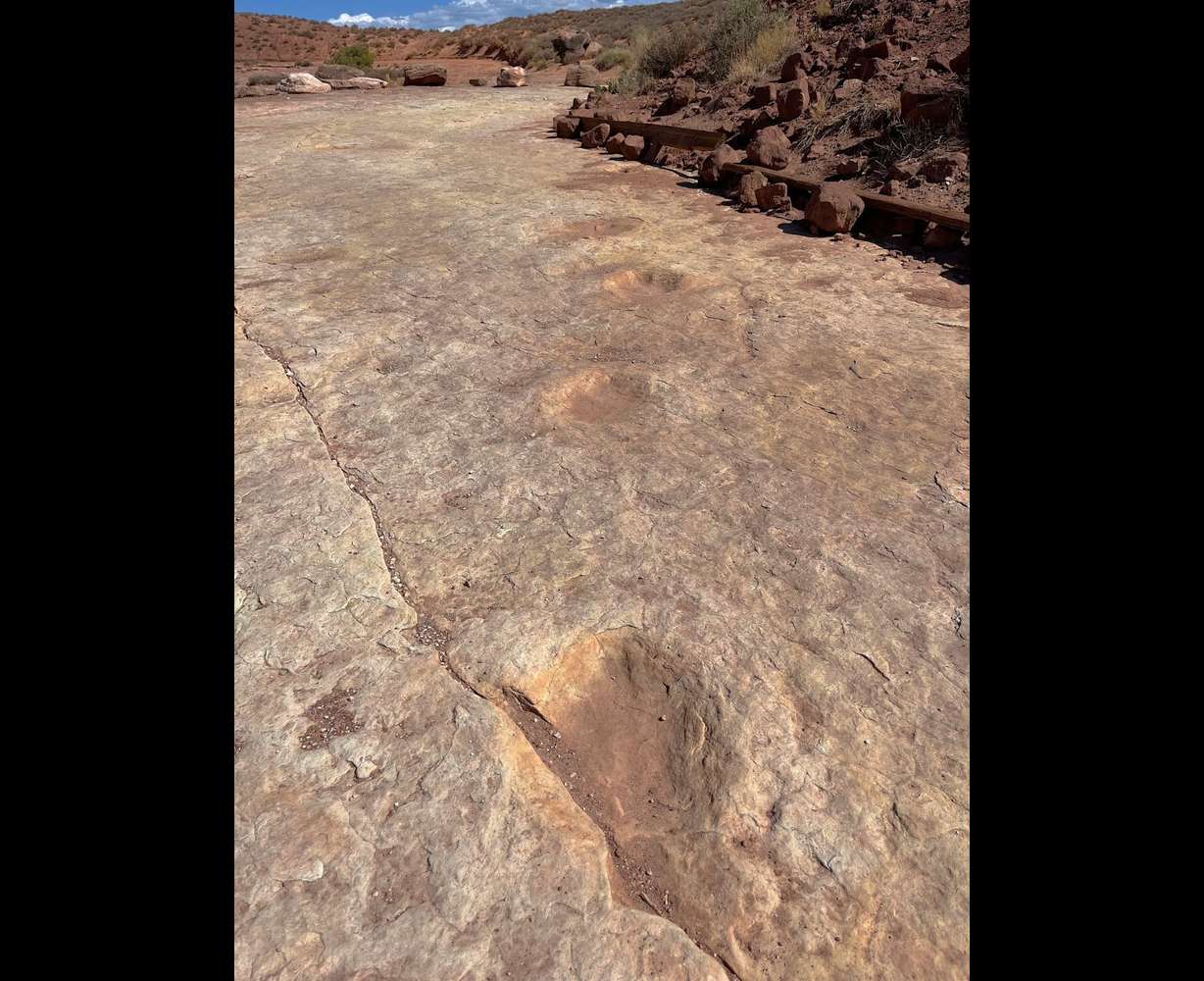 A purported dinosaur trail at Utahraptor State Park in Moab. You can literally walk in the footsteps of dinosaurs at the new park, which opened in May.