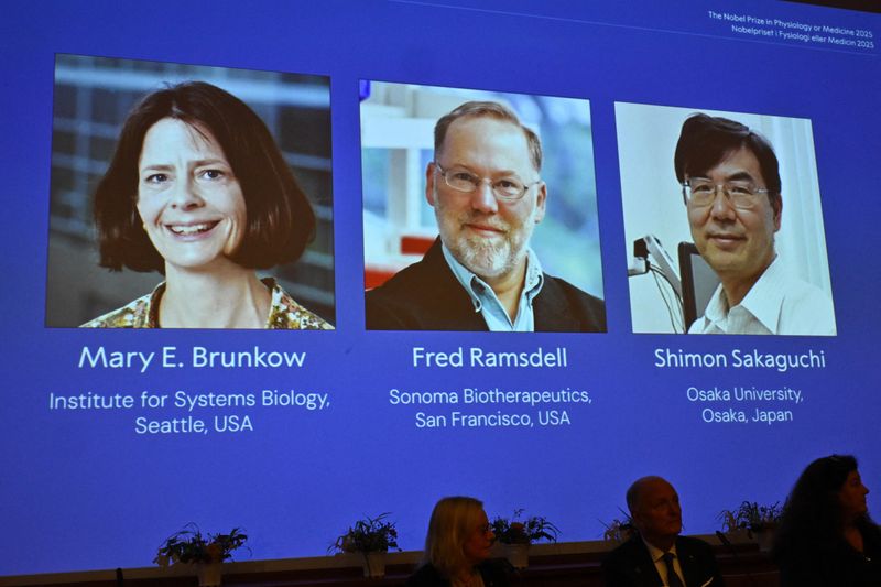 Immune system breakthrough wins Nobel medicine prize for US, Japan scientists