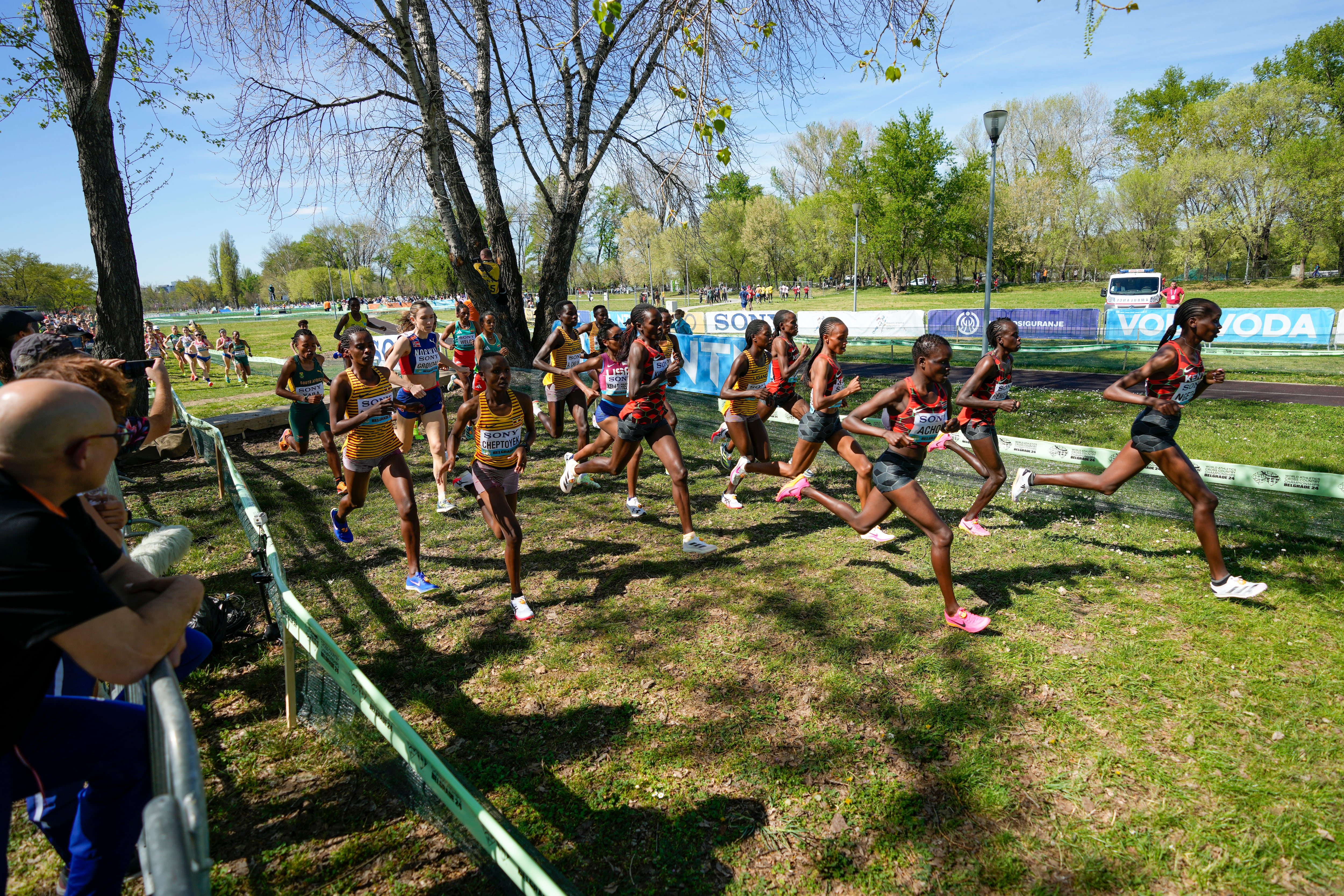 The women's senior race at the World Athletics Cross Country Championships in Belgrade, Serbia, on March 30, 2024. Olympic leaders are pondering the possibility of adding cross-country running to the Winter Olympics.