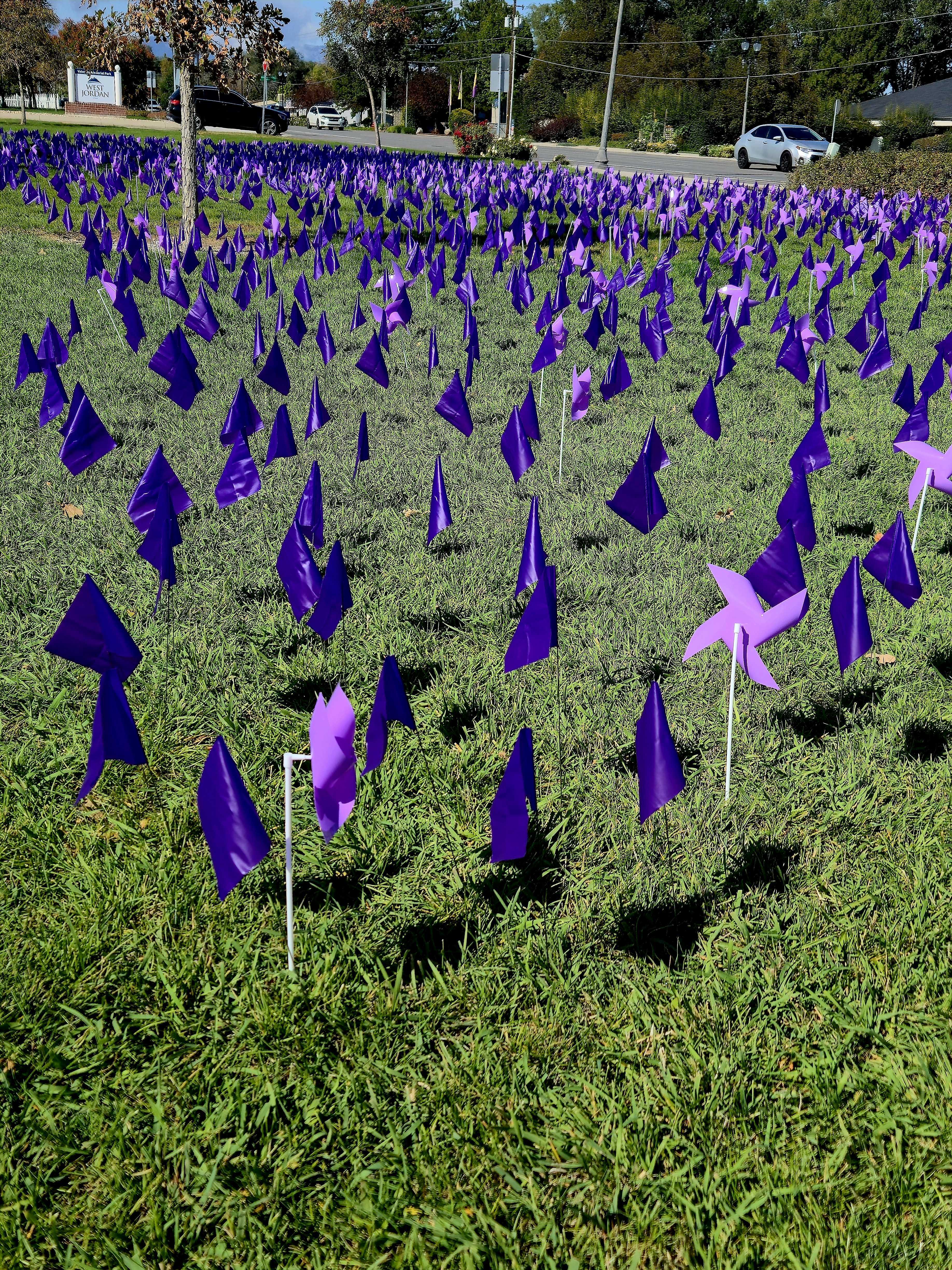 West Jordan displays scale of domestic violence with field of flags, pinwheels