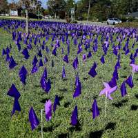 West Jordan displays scale of domestic violence with field of flags, pinwheels