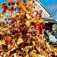 Fall cleanup is easy with affordable used tools from KSL