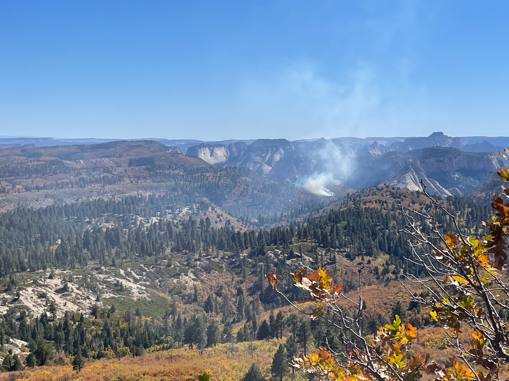 Lightning strike causes wildfire in Zion National Park, prompting multiple closures