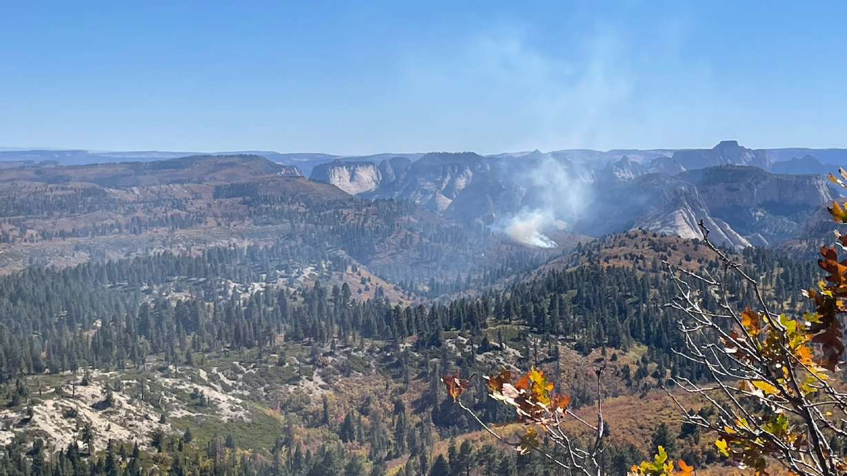 A wildfire was caused by a lightning strike in Zion National Park on Tuesday.