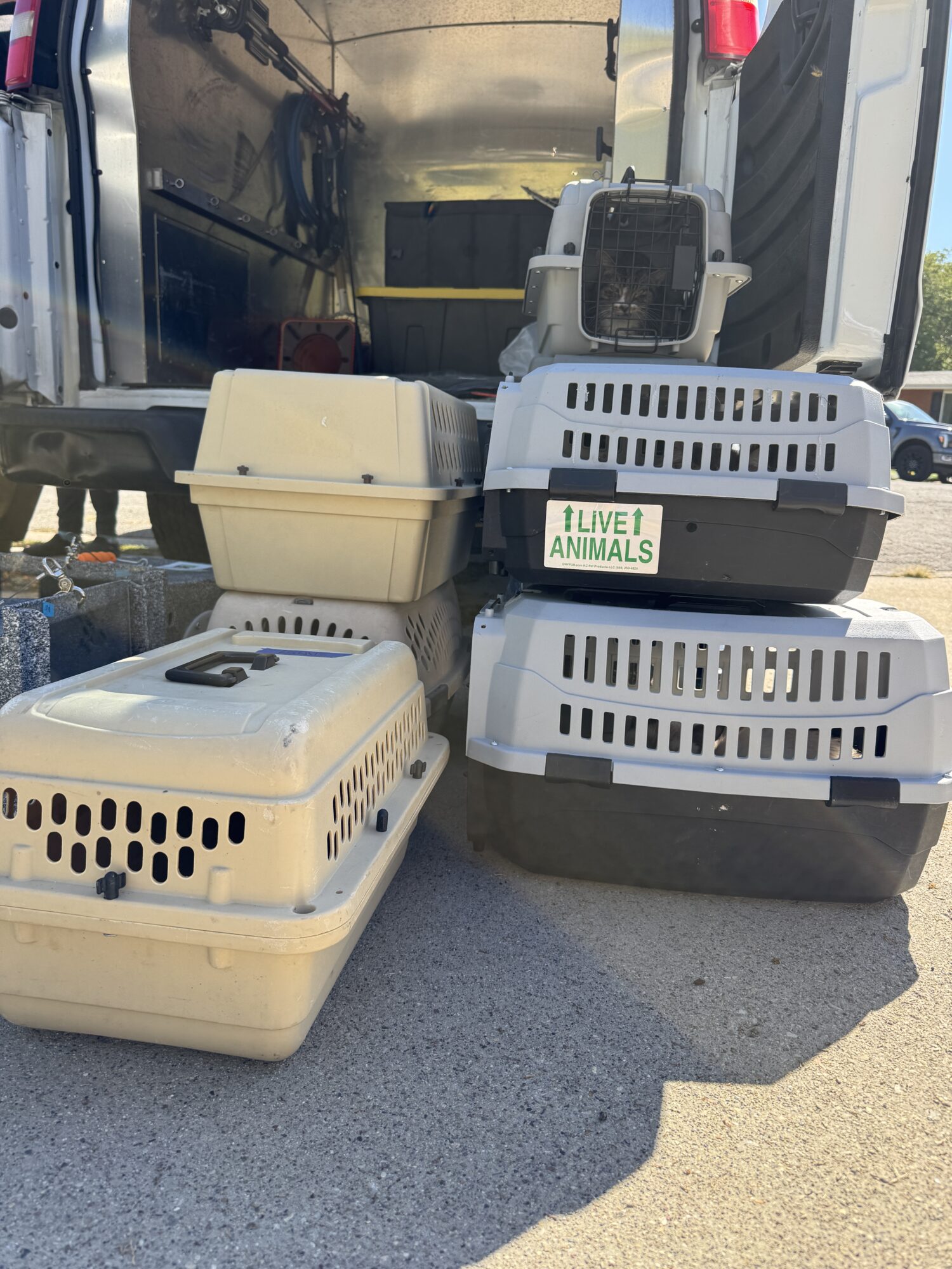 Litters for animals outside a home in Cottonwood Heights, Wednesday. Animal control and police removed dozens of cats from a home so unhealthy, the homeowner won't be allowed back until it's completely cleaned up.