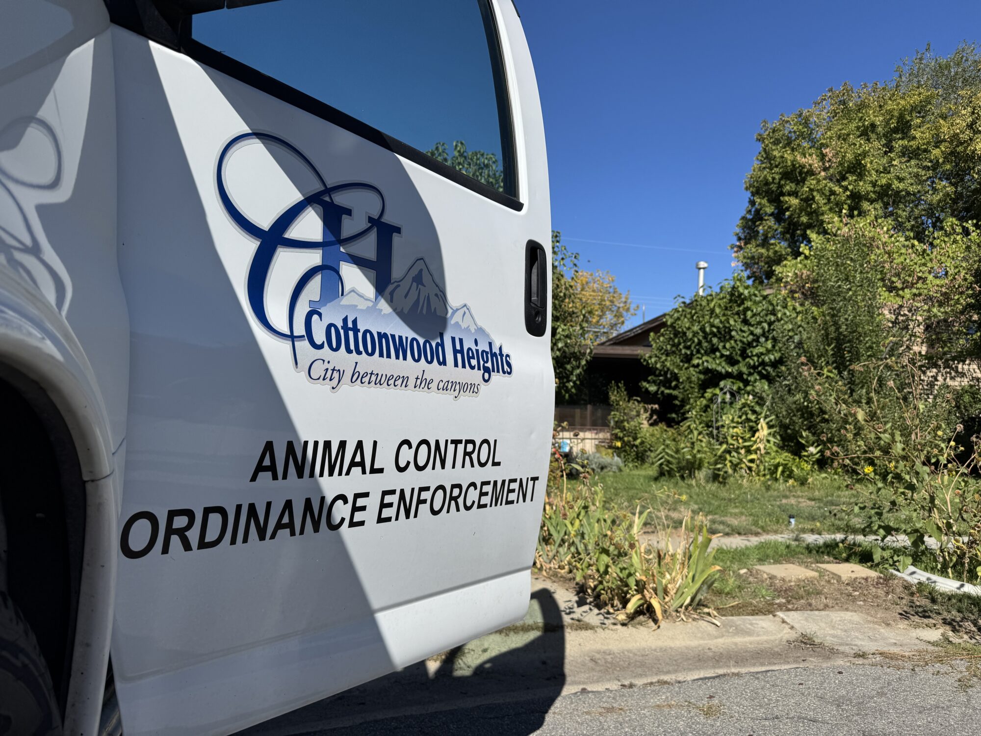 Police, animal control workers remove dozens of cats from Cottonwood Heights home