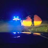 Have You Seen This? When pumpkins fly