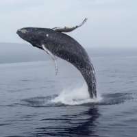 Have You Seen This? Perfect timing