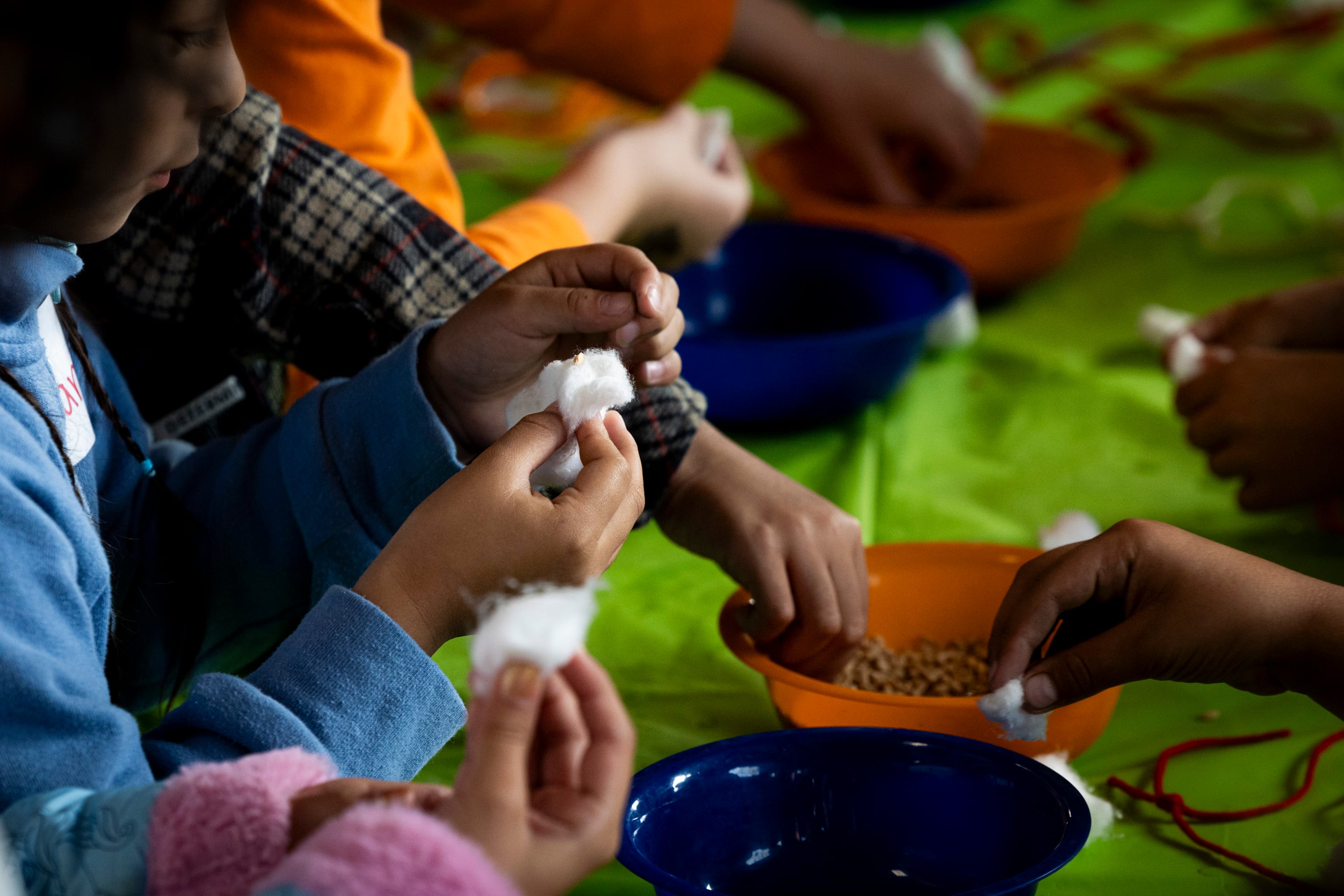 Second graders put seeds into moist cotton balls, which they will then put in a plastic bag on a string to create a “living necklace” that will grow when placed in the sun, during Utah County Farm Field Days held by the Utah Farm Bureau and Utah State University Extension at the North Utah County Equestrian Park in Highland on Thursday.