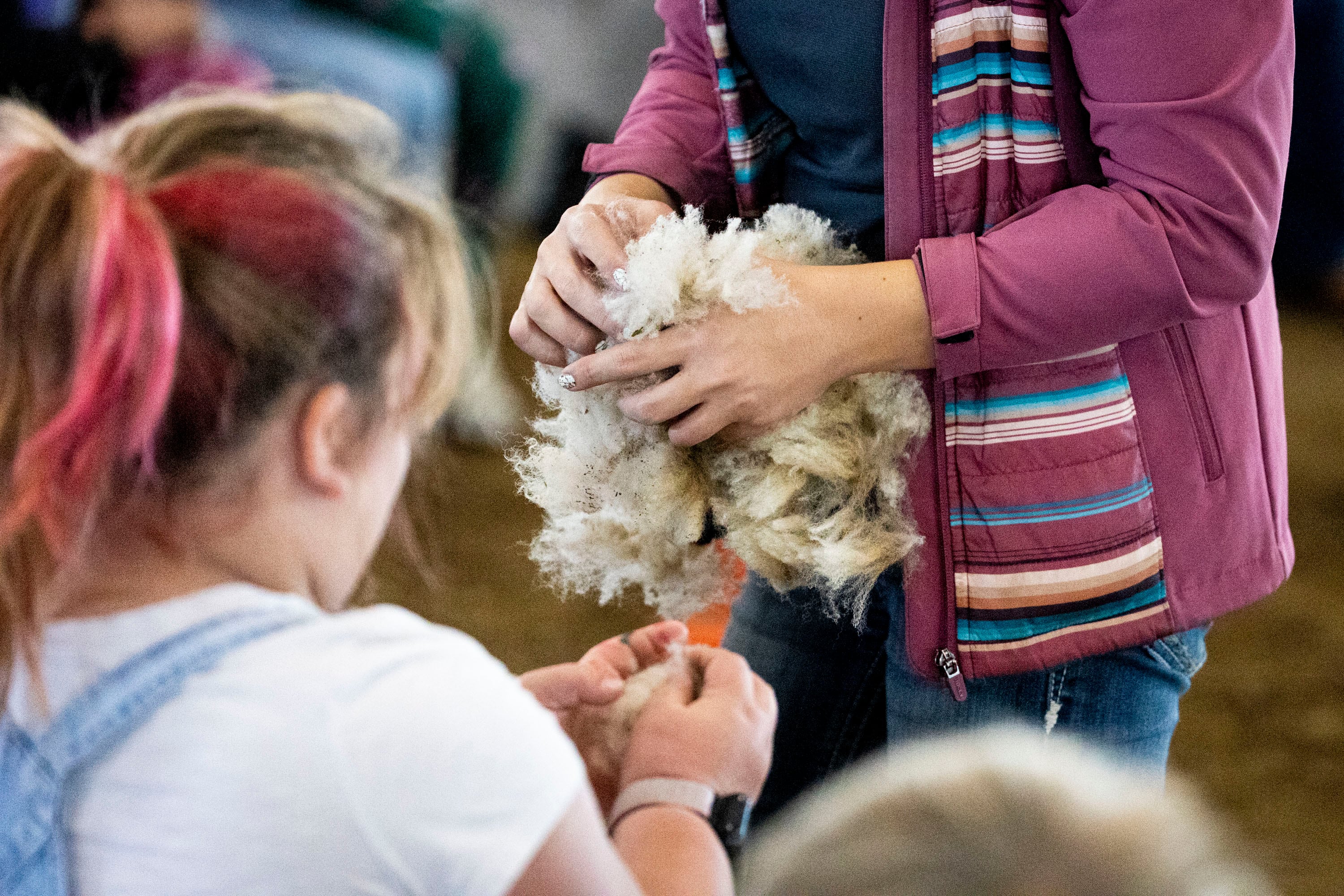 A person carries a bunch of wool around to second graders for them to feel during Utah County Farm Field Days held by the Utah Farm Bureau and Utah State University Extension at the North Utah County Equestrian Park in Highland on Thursday.