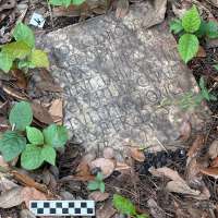 A long-lost ancient Roman artifact reappears in a New Orleans backyard