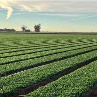 Paying farmers proves most cost-effective way to conserve Colorado River, study says