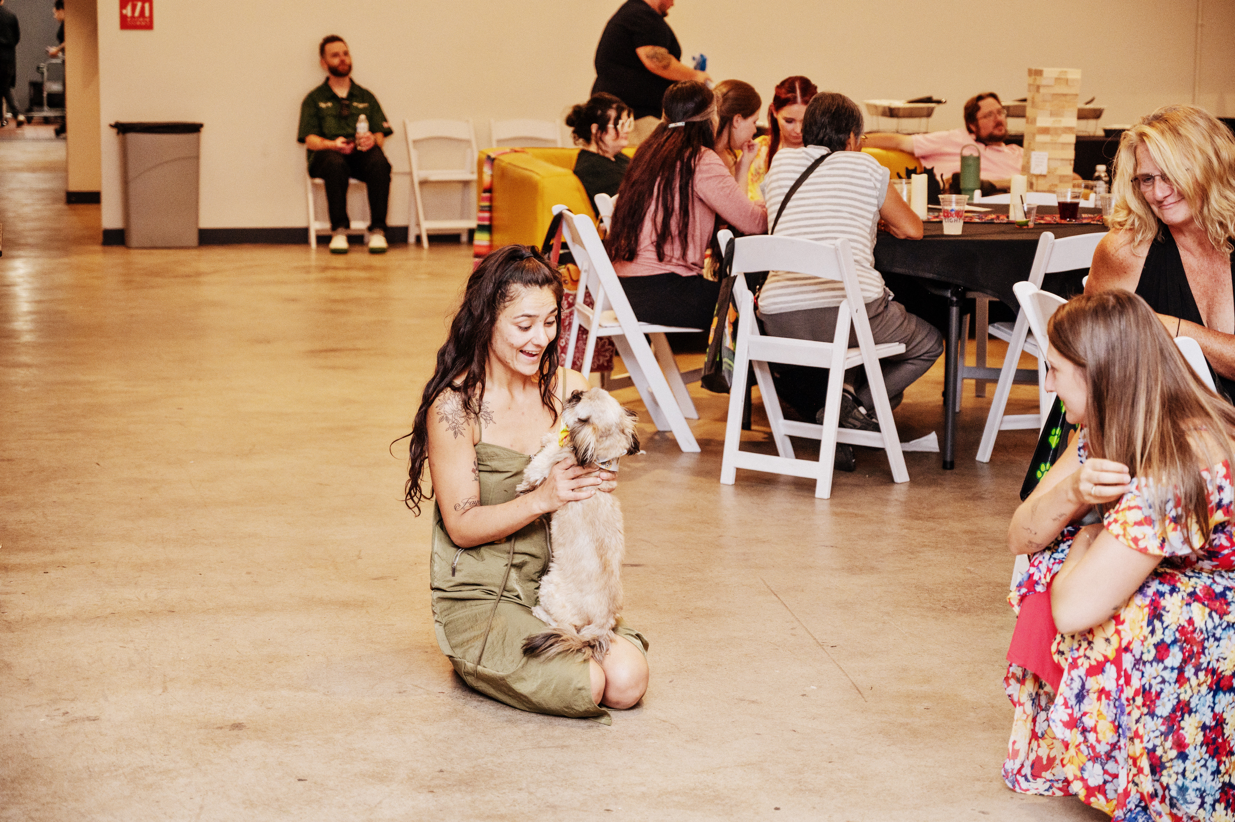 Golden Bark Foundation gives senior dogs a second chance