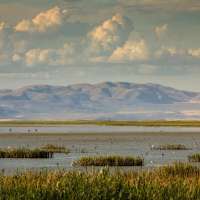 Here's how wildlife refuges came to be and why they are celebrated