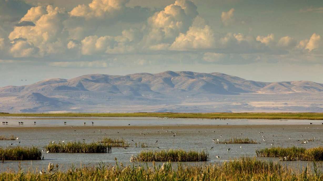 Bear River Migratory Bird Refuge is featured in a new documentary that explores the benefits of a wildlife refuge next to an urban center. It's only one of the many wildlife refuges nationwide with a unique history.