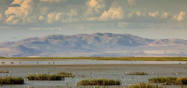Here's how wildlife refuges came to be and why they are celebrated