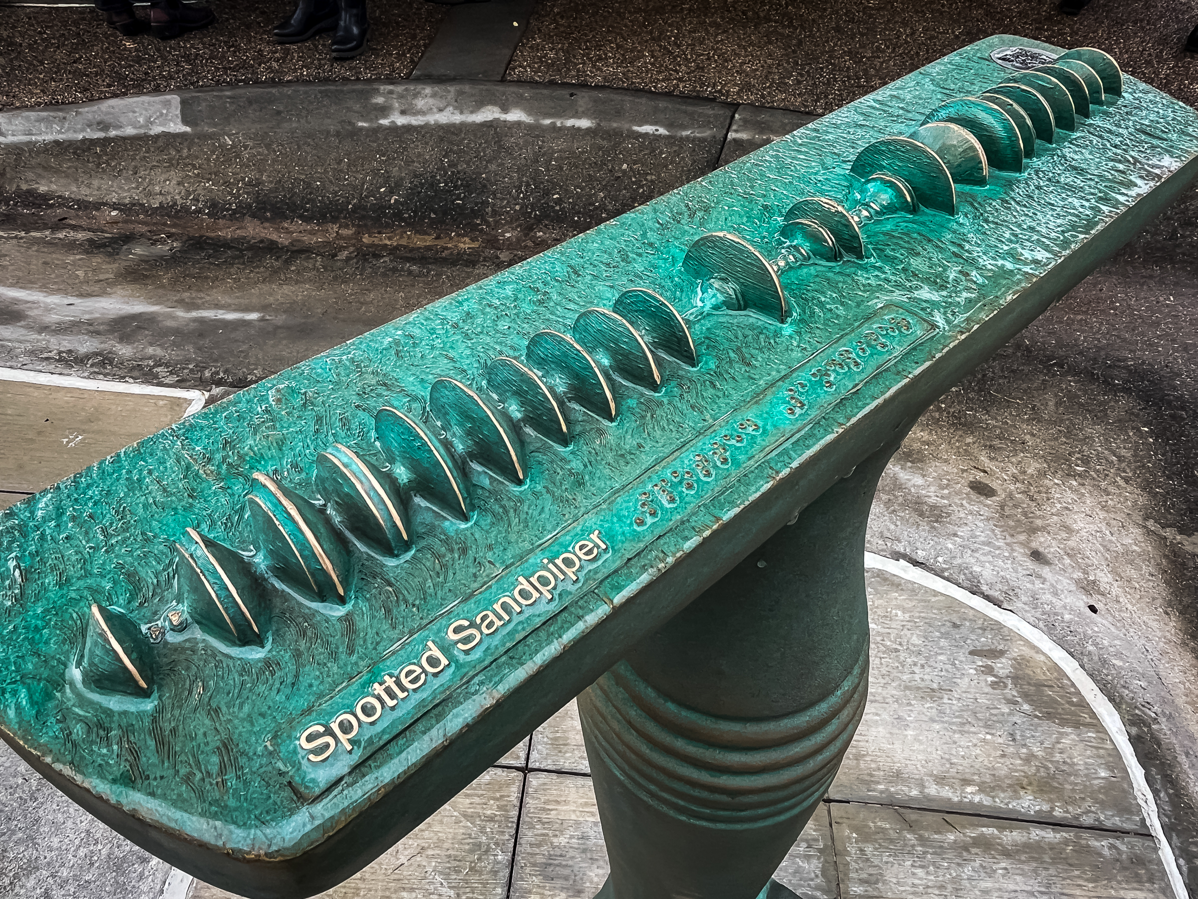 A sonogram of a spotted sandpiper bird call is etched into a bronze "people perch" within the Liberty Park's Seven Canyon Refuge.