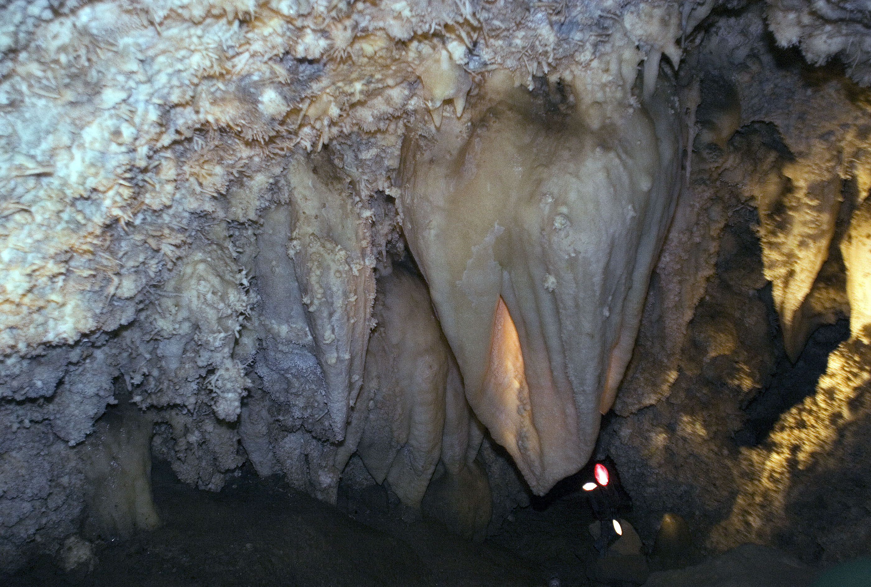 Timpanogos Cave in American Fork Canyon.
