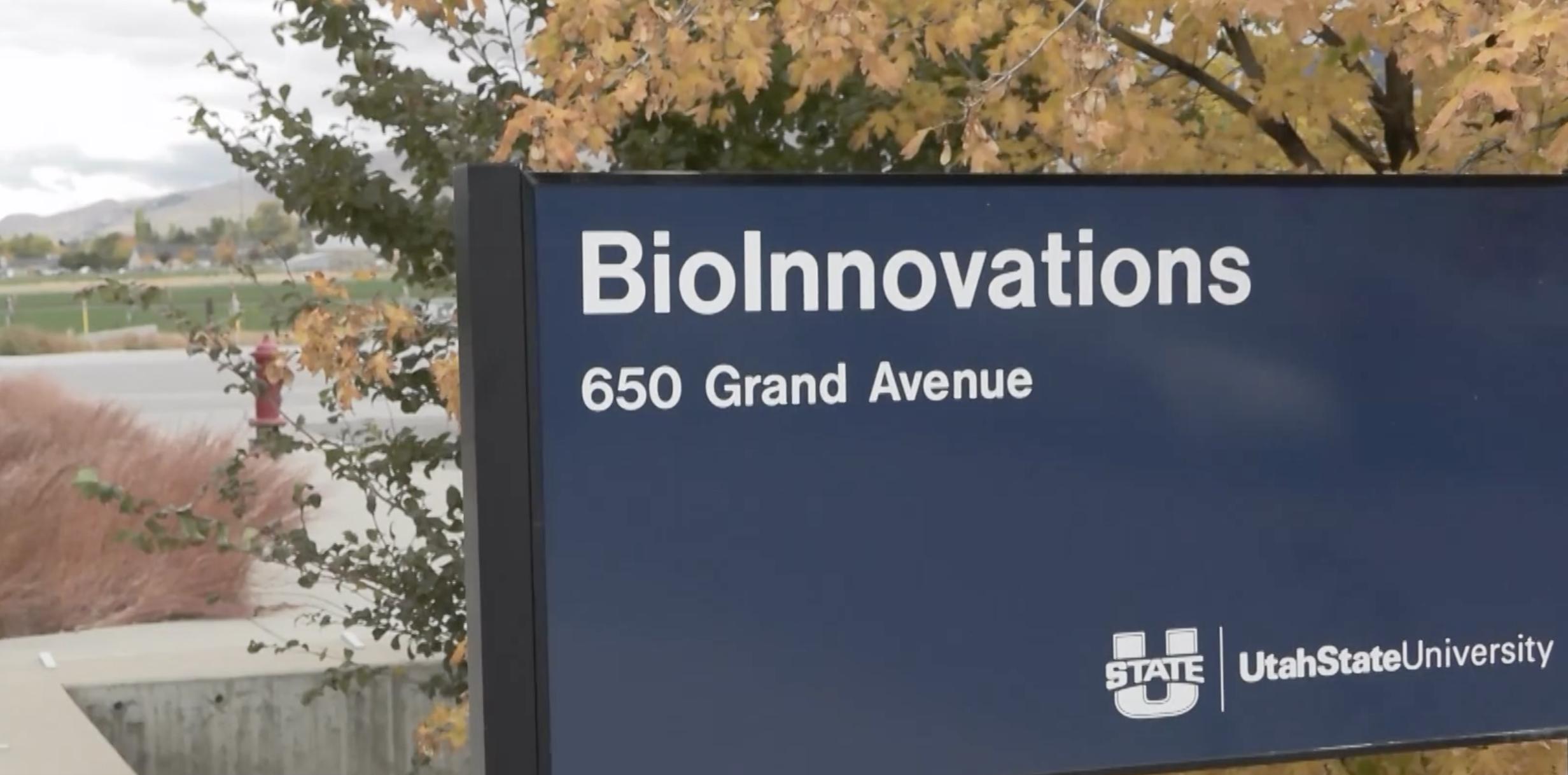 Utah State University launches program to treat domestic violence offenders