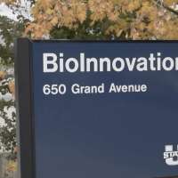 Utah State University launches program to treat domestic violence offenders