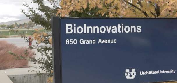 Utah State University launches program to treat domestic violence offenders
