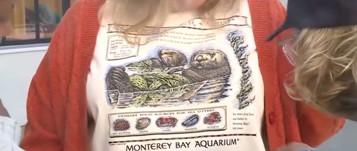 Taylor Swift-worn vintage T-shirt drive raises $2.3M for Monterey Bay Aquarium