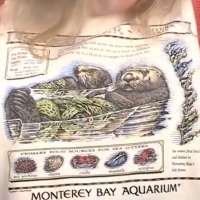 Taylor Swift-worn vintage T-shirt drive raises $2.3M for Monterey Bay Aquarium