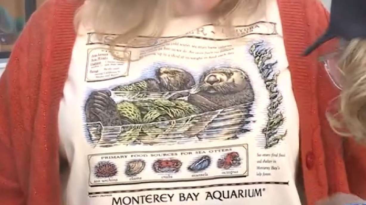 Fans of Taylor Swift brought a classic 32-year-old Monterey Bay Aquarium T-shirt back to life, while raising awareness of the aquarium's mission in the process.