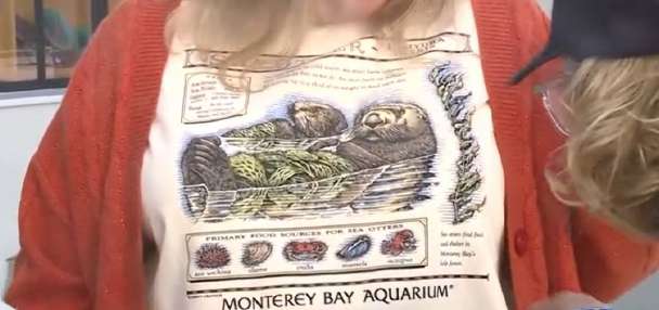 Taylor Swift-worn vintage T-shirt drive raises $2.3M for Monterey Bay Aquarium
