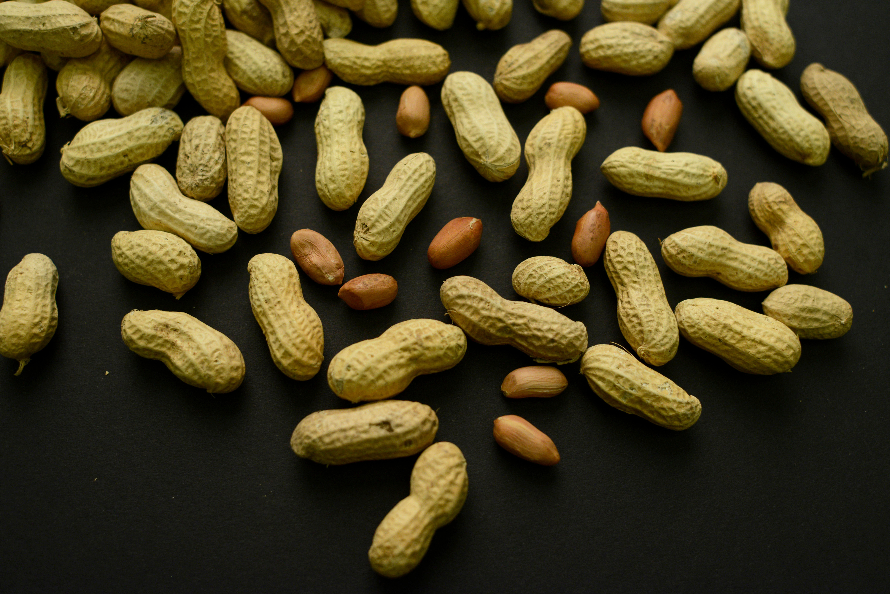 Advice to feed babies peanuts early helped 60,000 kids avoid allergies, study finds