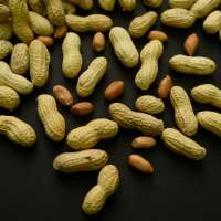 Advice to feed babies peanuts early helped 60,000 kids avoid allergies, study finds