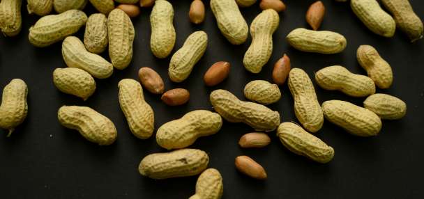 Advice to feed babies peanuts early helped 60,000 kids avoid allergies, study finds