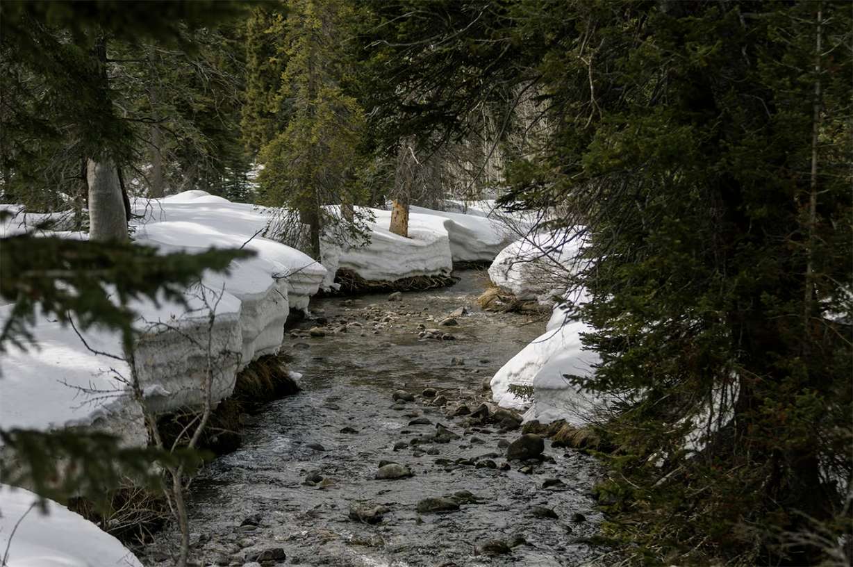 Runoff water flows down Big Cottonwood Creek from the Wasatch Mountains in Big Cottonwood Canyon on April 4, 2024.
