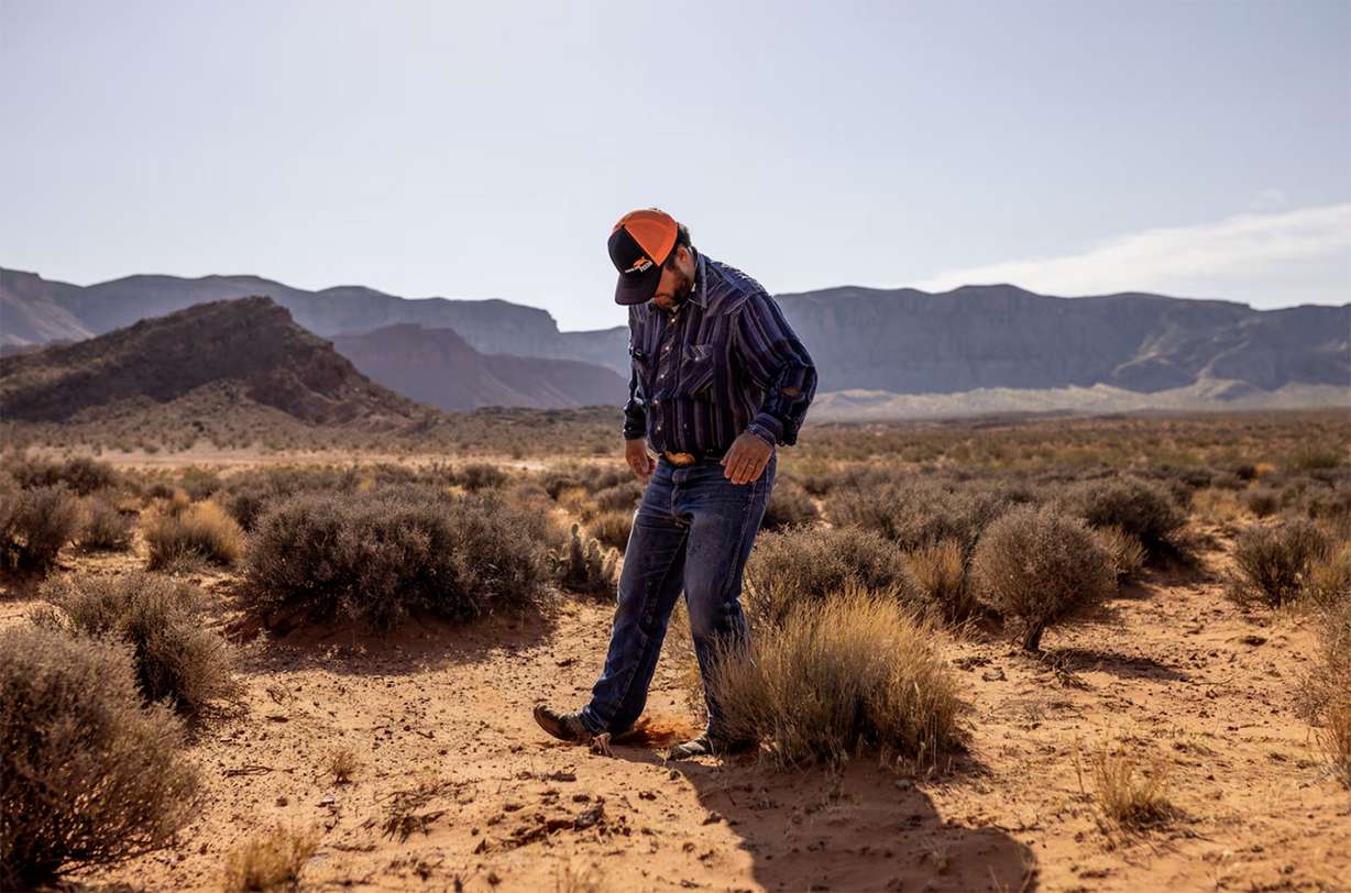 Kelby Iverson checks the moisture in the soil and the state of natural forage on Bureau of Land Management land on which his cattle typically winter in Hurricane, Washington County, on Sept. 9, 2022. Due to the persistent drought in the area, Iverson said he has never seen the land so bare of edible forage.