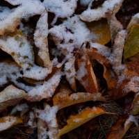 Freeze warning issued for parts of Wasatch Front, northern Utah