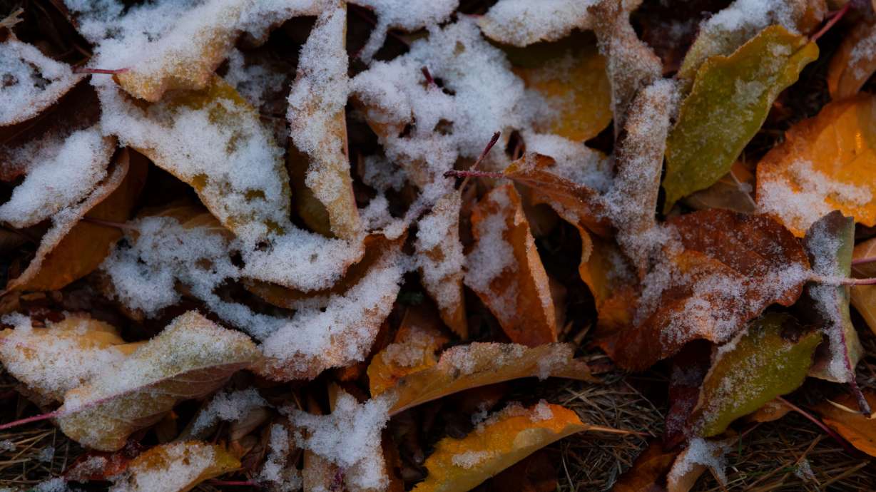 A freeze warning has been issued for the northern part of the Wasatch Front and northern Utah, where temperatures are forecast to dip below freezing Monday night and into Tuesday morning.