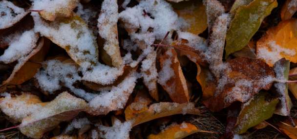 Freeze warning issued for parts of Wasatch Front, northern Utah