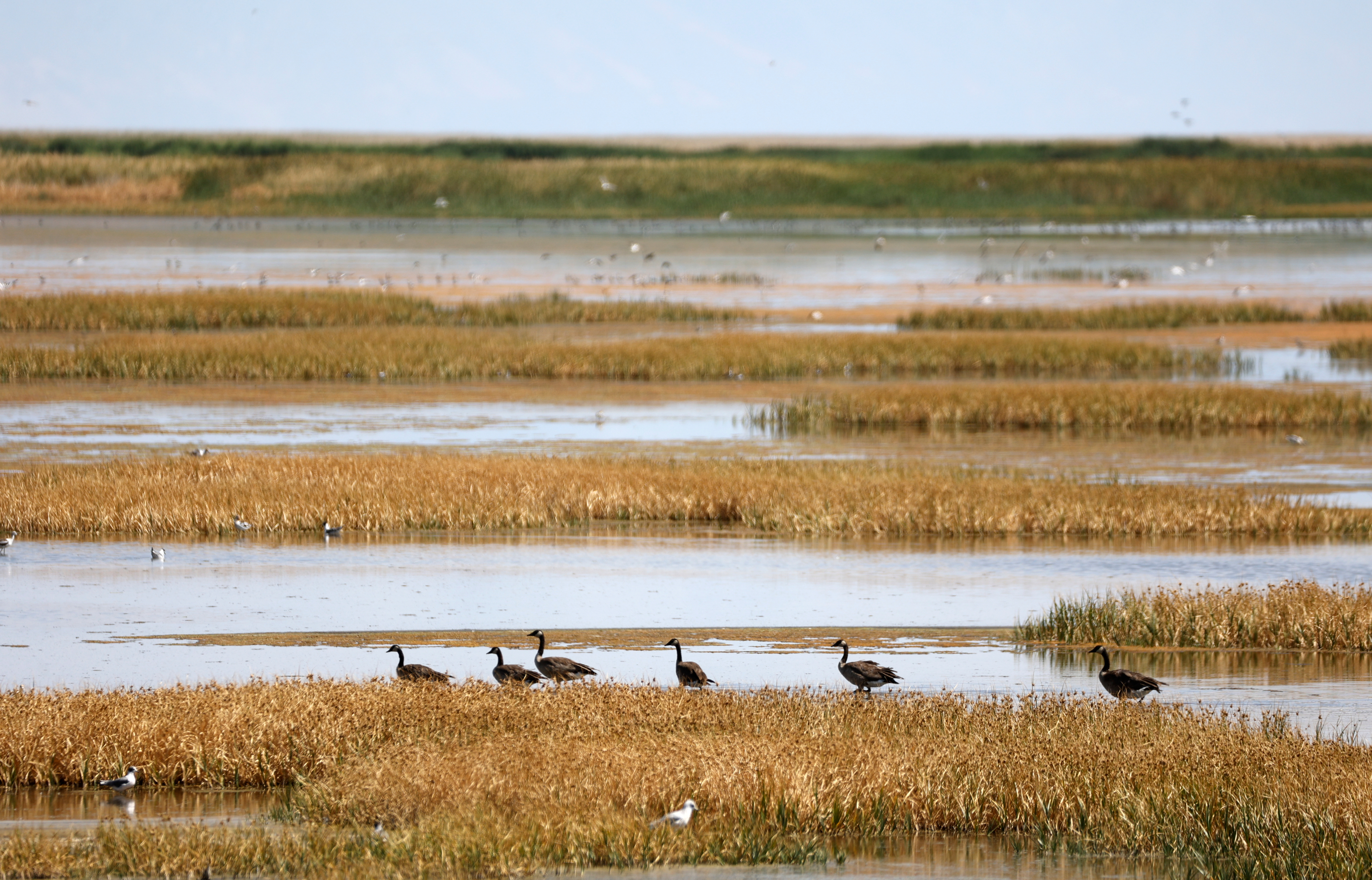 Deadline for Great Salt Lake water projects extended as shutdown creates new hurdle