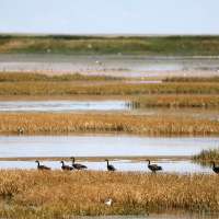 Deadline for Great Salt Lake water projects extended as shutdown creates new hurdle