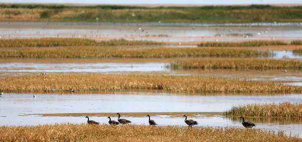 Deadline for Great Salt Lake water projects extended as shutdown creates new hurdle