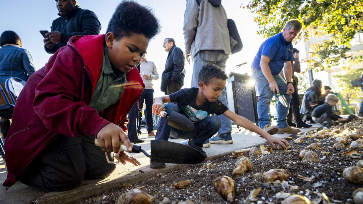 Mason Whitaker, 11, left, and his brother, Jackson, 7, both of West Valley City, plant daffodil bulbs with others to honor the lives lost to gun violence in Utah in the past year, in West Valley City on Tuesday.