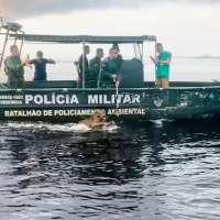 Have You Seen This? Struggling jaguar saved by Brazilian authorities