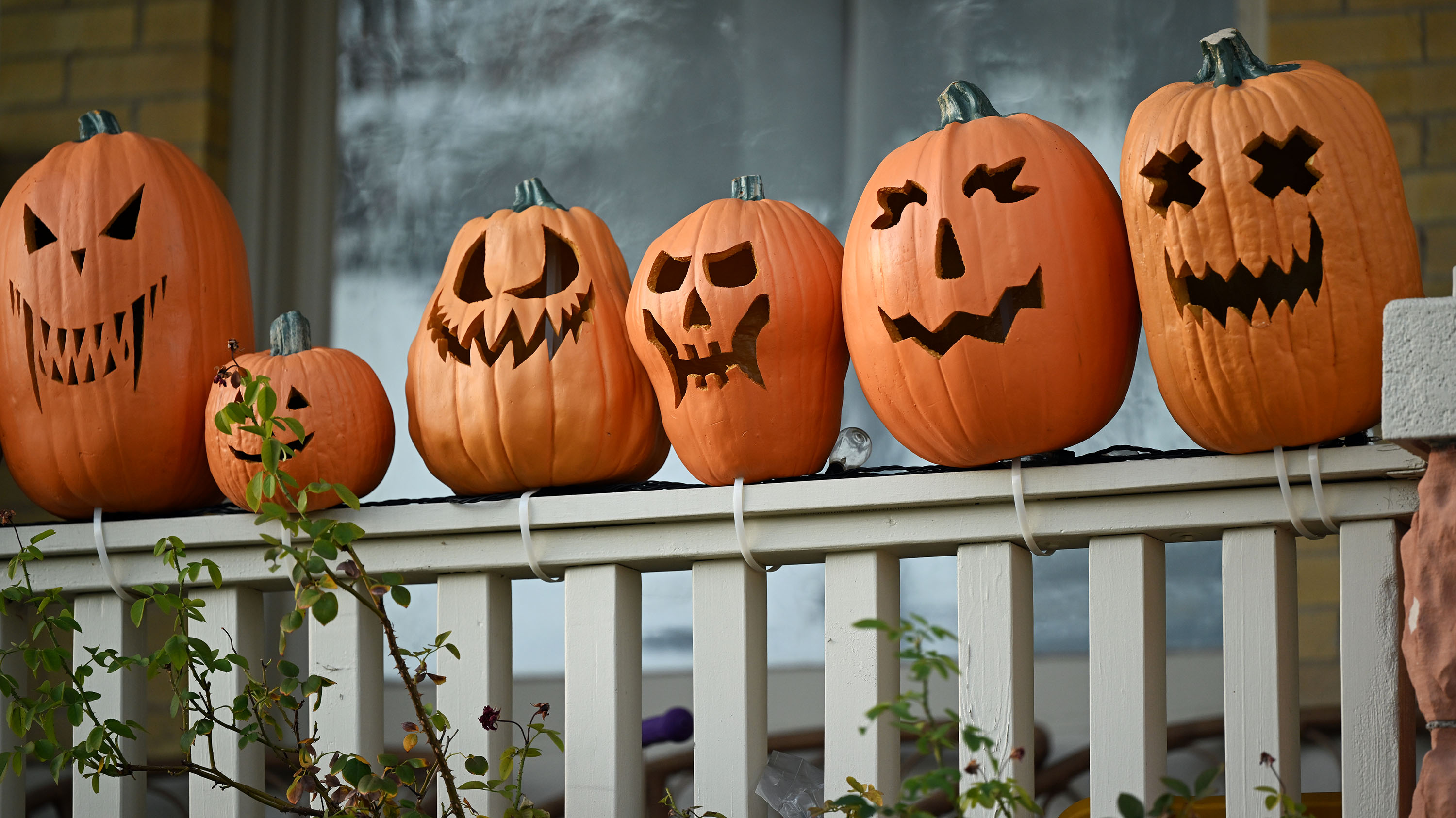 The pumpkin house in Salt Lake City on Sept. 25, 2024. Use KSL Events to discover fun activities happening throughout Utah for the Halloween season.