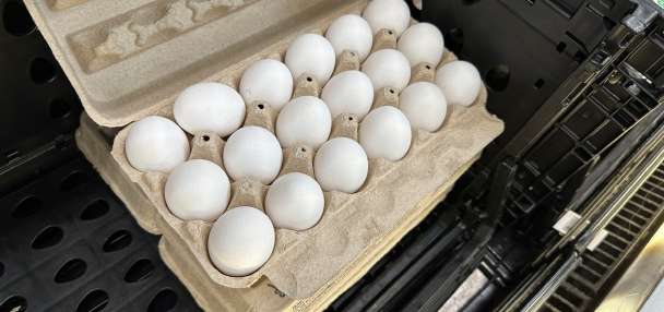 Voluntary recall affects 6 million eggs due to outbreak