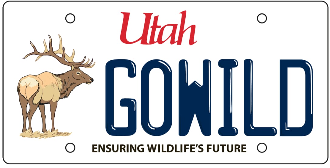 Specialty Utah conservation plate raking in the money