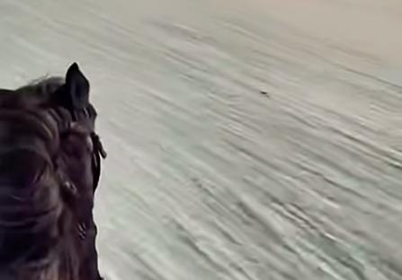 Have You Seen This? Horse ride in the desert creates optical illusion