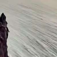 Have You Seen This? Horse ride in the desert creates optical illusion