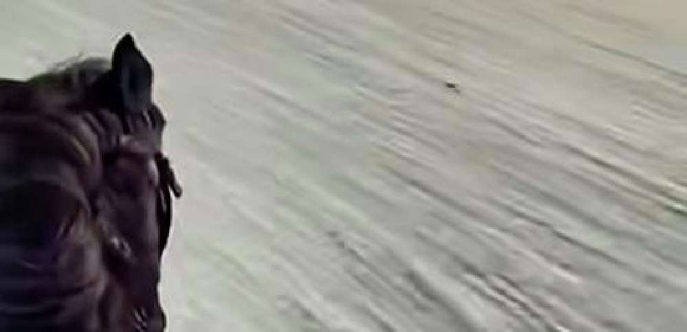 Have You Seen This? Horse ride in the desert creates optical illusion