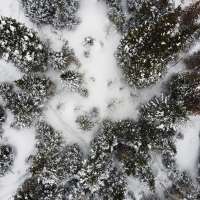 Sen. Curtis pushing forward with the Fix Our Forests Act