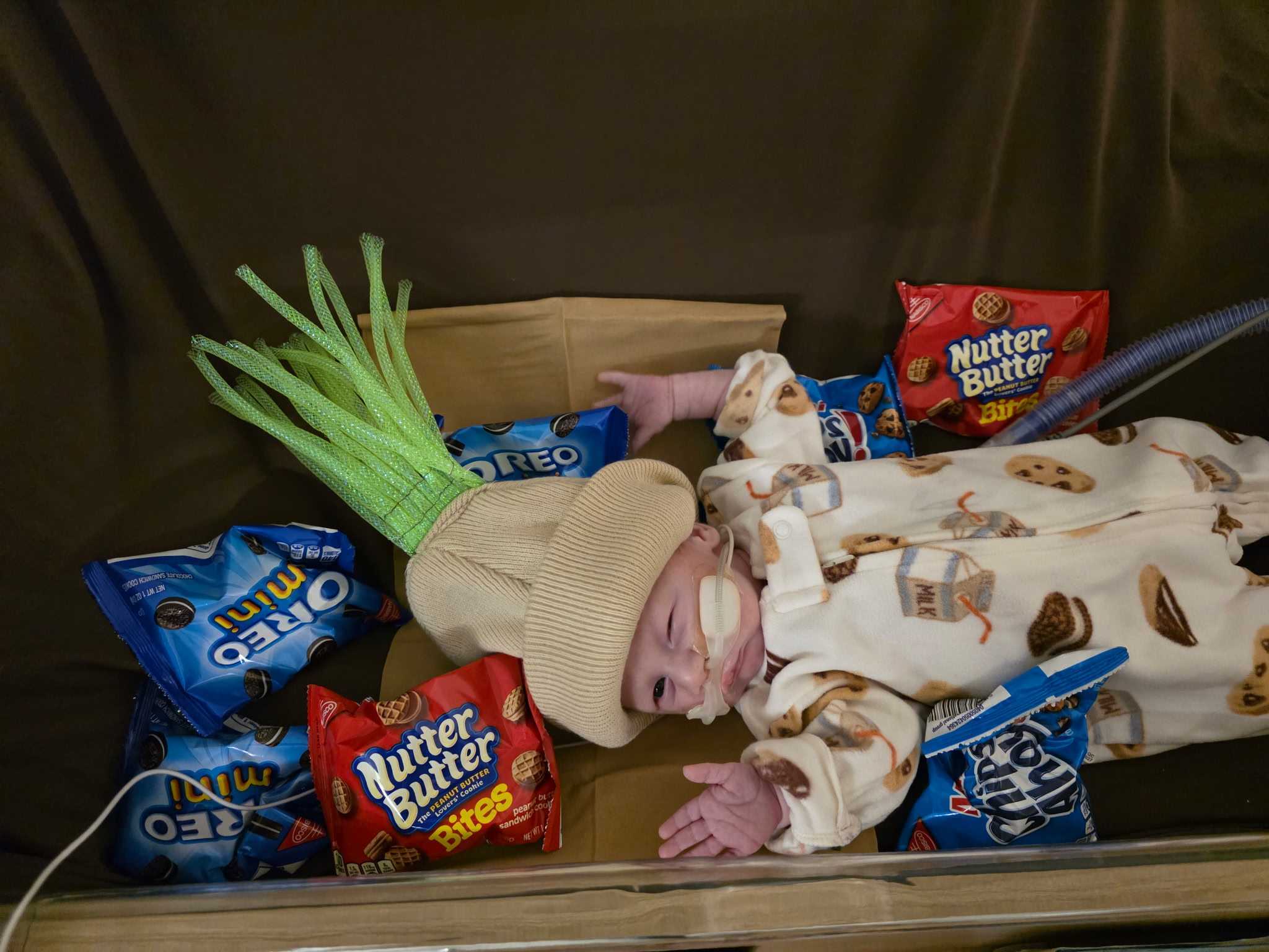 Roman Chilcote dressed as the cookie monster.